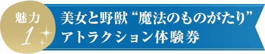 美女と野獣の魔法のものがたりアトラクション体験券