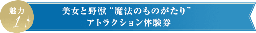 美女と野獣の魔法のものがたりアトラクション体験券