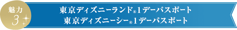 2パークで遊べる パークチケット