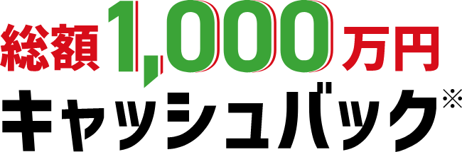 各月919名様×10,000円キャッシュバック